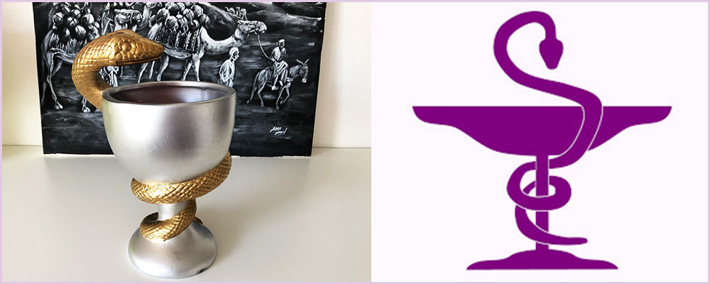 福嶋歯科医院について